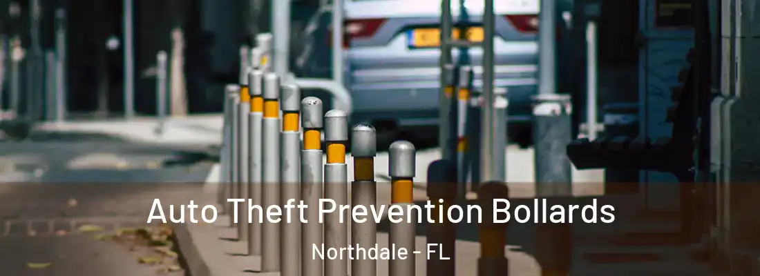  Auto Theft Prevention Bollards Northdale - FL