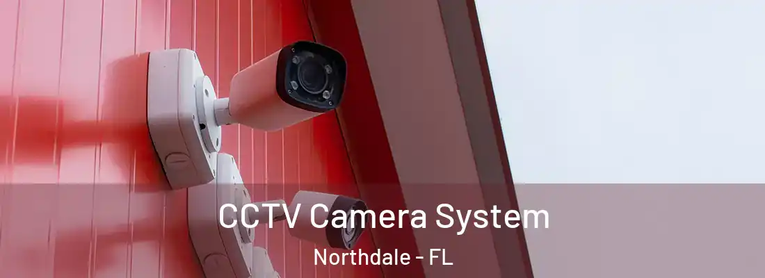  CCTV Camera System Northdale - FL