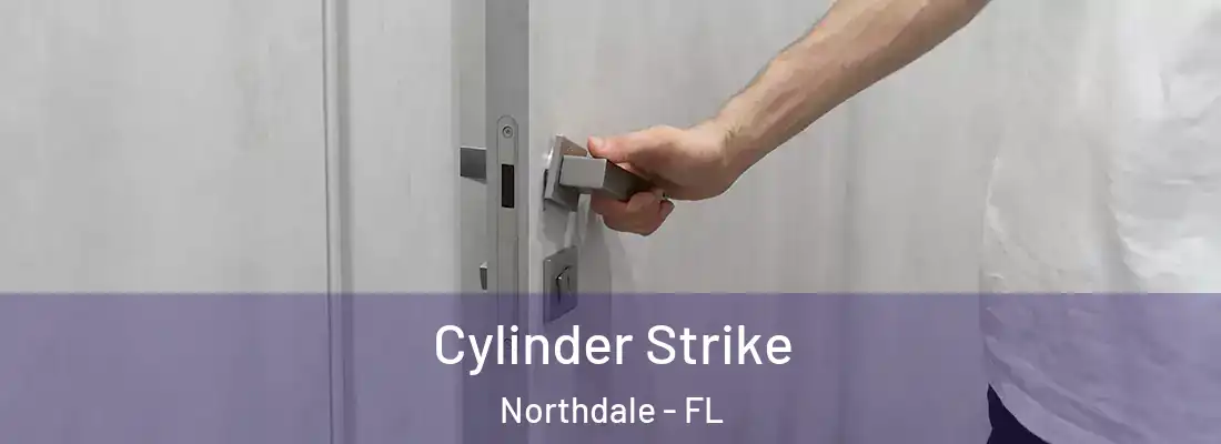  Cylinder Strike Northdale - FL