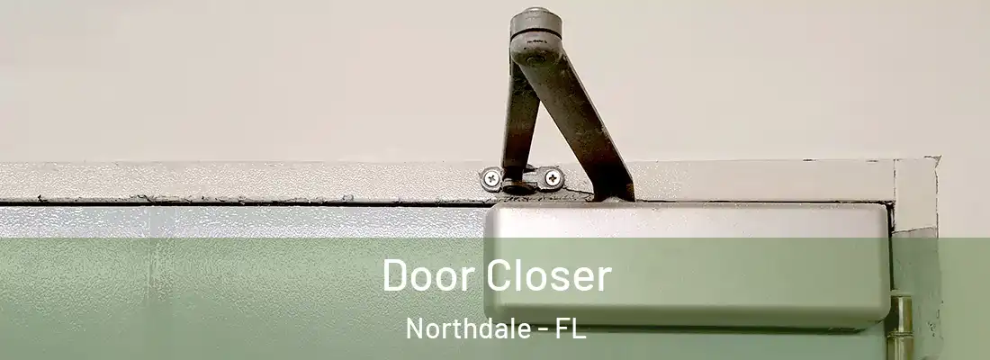 Door Closer Northdale - FL