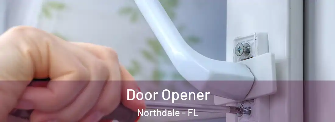  Door Opener Northdale - FL