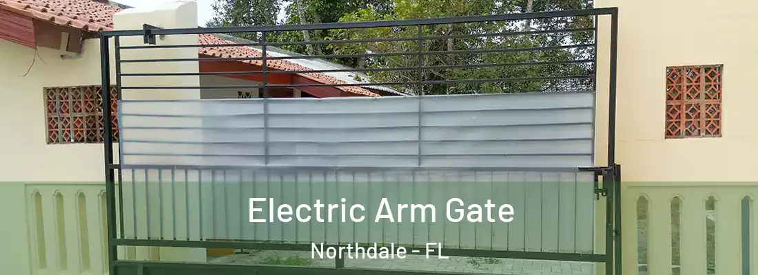  Electric Arm Gate Northdale - FL