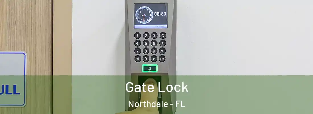 Gate Lock Northdale - FL