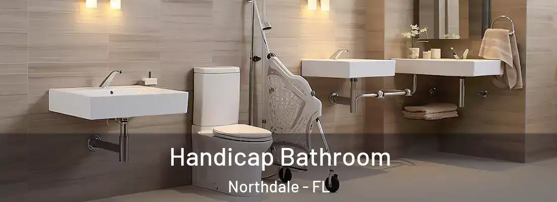  Handicap Bathroom Northdale - FL
