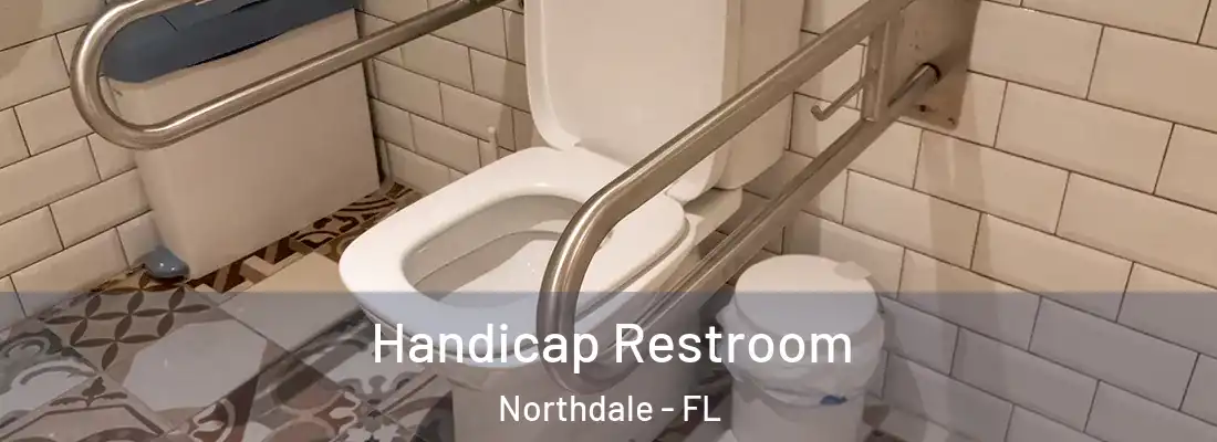  Handicap Restroom Northdale - FL