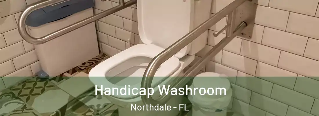  Handicap Washroom Northdale - FL