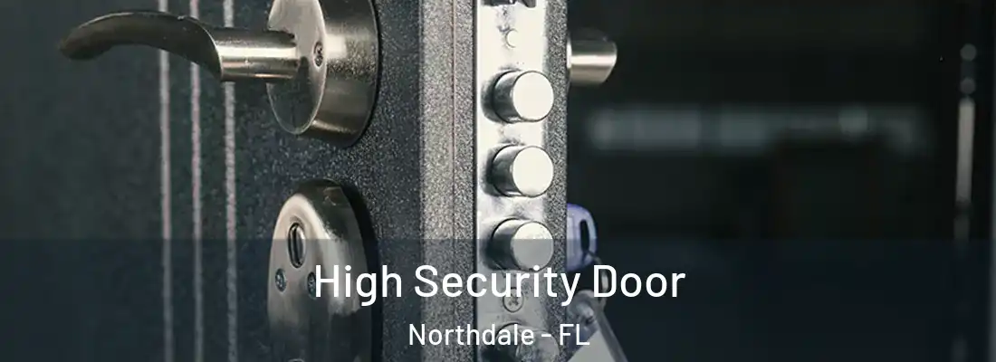  High Security Door Northdale - FL