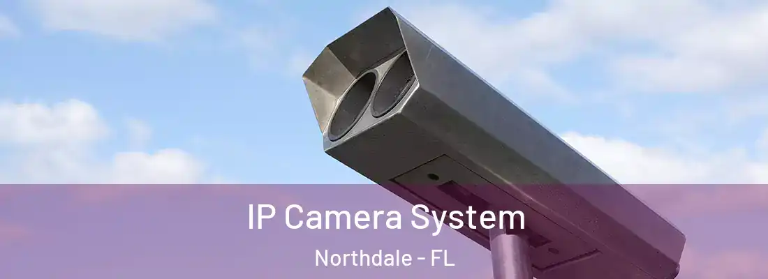 IP Camera System Northdale - FL