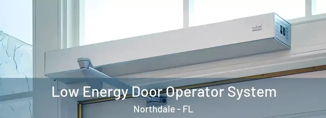 Low Energy Door Operator System Northdale - FL