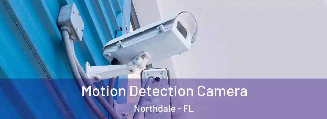 Motion Detection Camera Northdale - FL