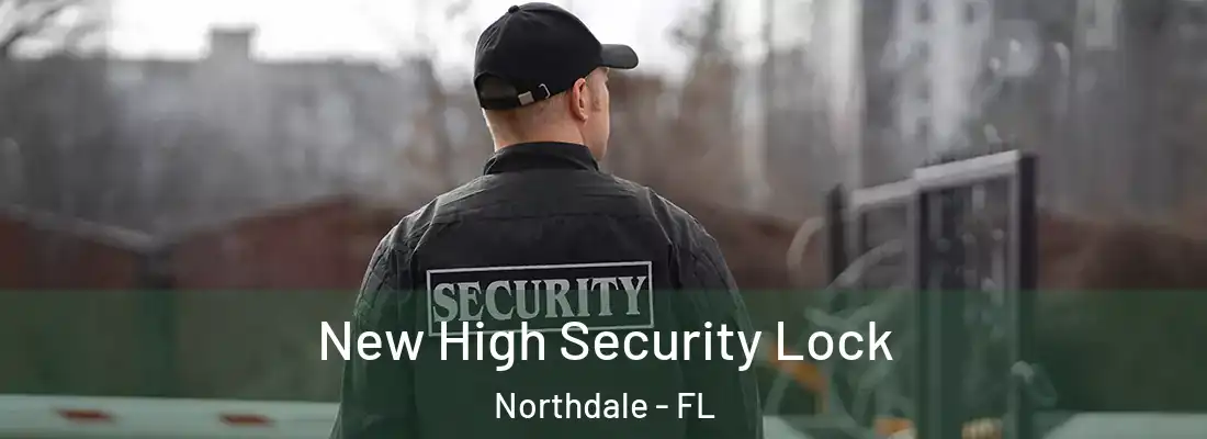 New High Security Lock Northdale - FL