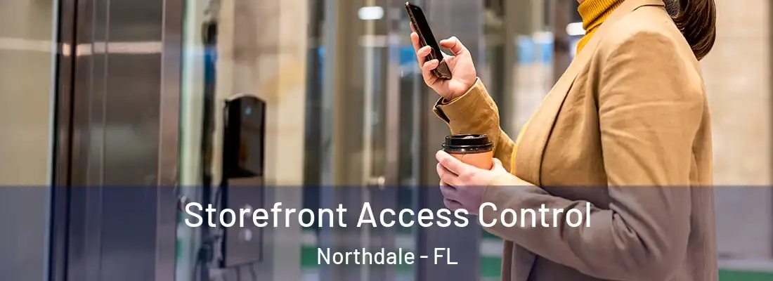 Storefront Access Control Northdale - FL
